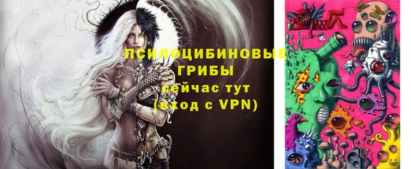 дмт Михайловск